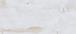 porcelanato eco prata 20x122 1.jpg