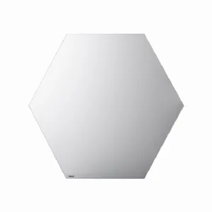 samambaia astra.webp