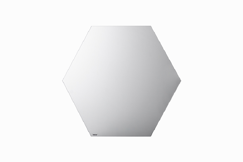 samambaia astra.webp samambaia astra.webp